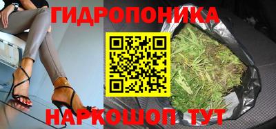 СК Будённовск