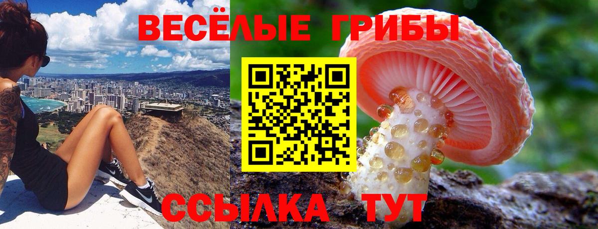 Сыктывкар  Галлюциногенные грибы MAGIC MUSHROOMS  Вход с VPN 